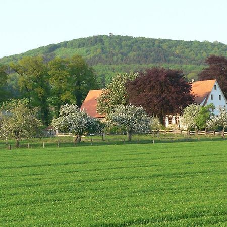 Ferienwohnung An Der Obstwiese Borgholzhausen Exterior photo