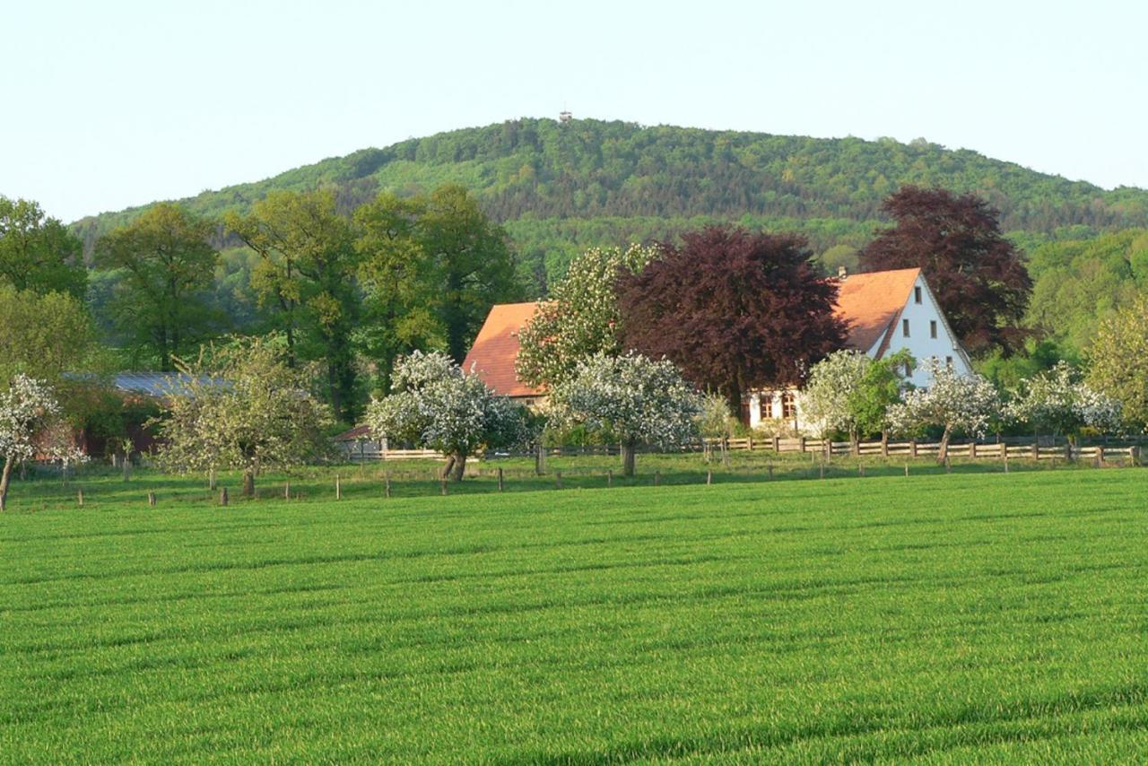 Ferienwohnung An Der Obstwiese Borgholzhausen Exterior photo