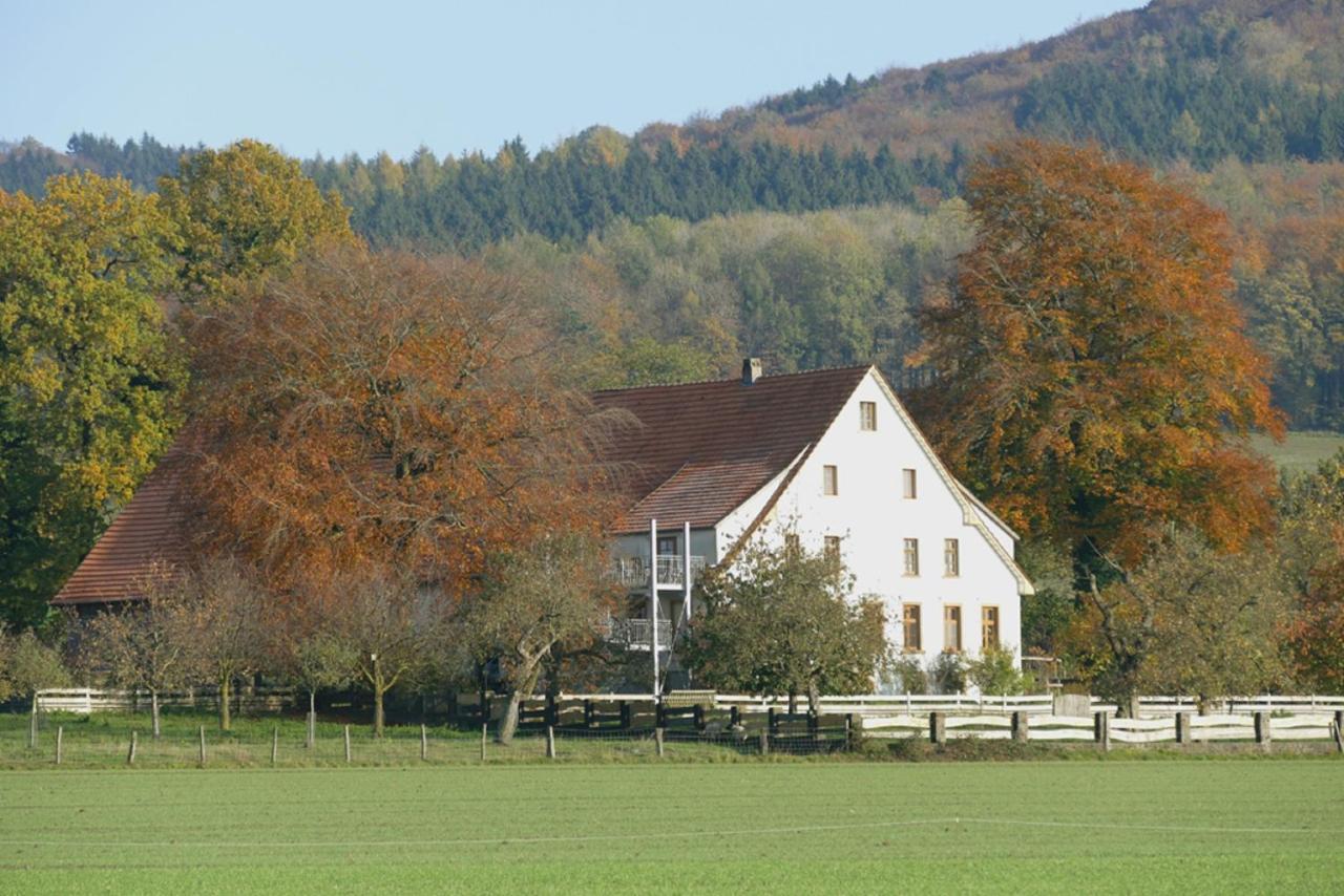 Ferienwohnung An Der Obstwiese Borgholzhausen Exterior photo